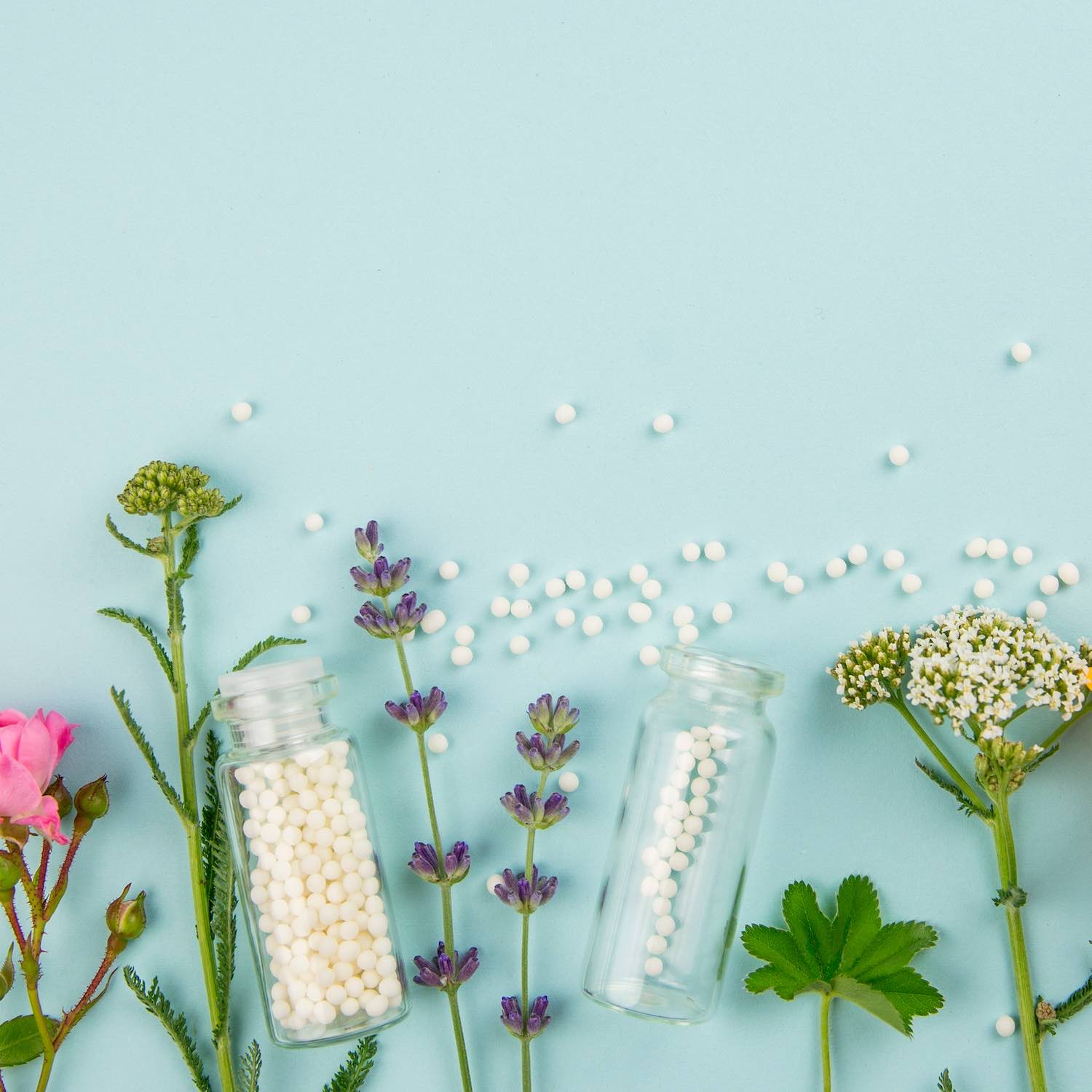 homeopathie-pharmacie-vacarie